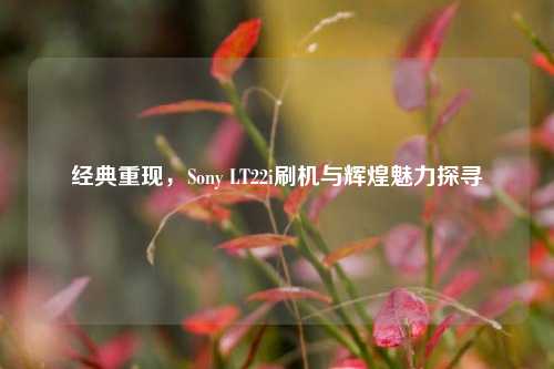 经典重现，Sony LT22i刷机与辉煌魅力探寻