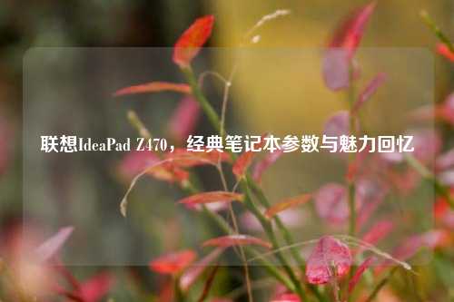 联想IdeaPad Z470,经典笔记本参数与魅力回忆