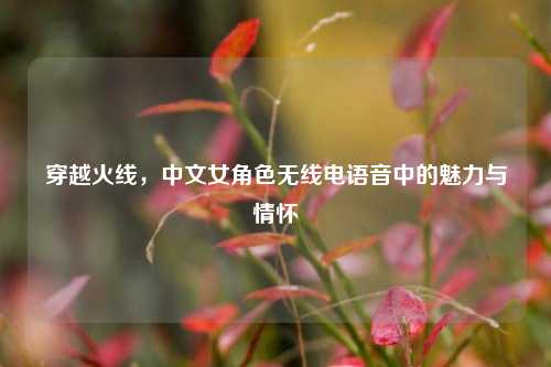 穿越火线,中文女角色无线电语音中的魅力与情怀