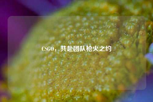 CSGO,共赴团队枪火之约