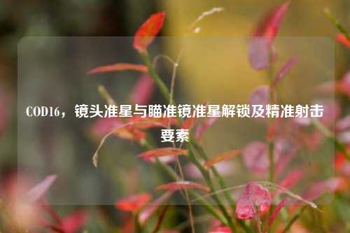 COD16，镜头准星与瞄准镜准星解锁及精准射击要素