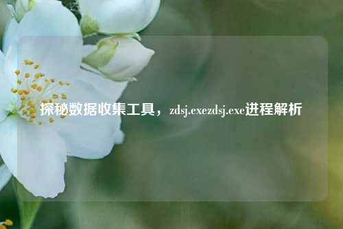 探秘数据收集工具,zdsj.exezdsj.exe进程解析