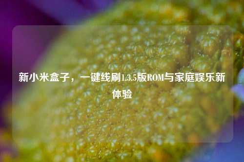 新小米盒子，一键线刷1.3.5版ROM与家庭娱乐新体验
