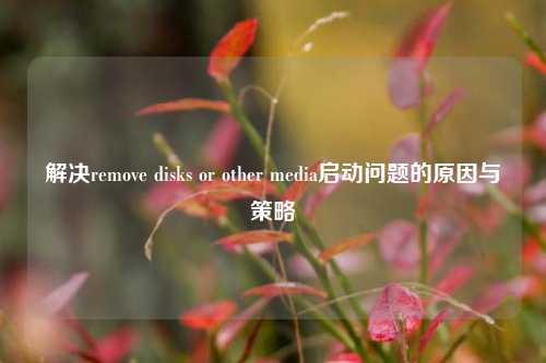 解决remove disks or other media启动问题的原因与策略