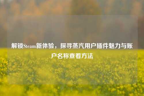 解锁Steam新体验,探寻蒸汽用户插件魅力与账户名称查看方法