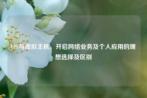 VPS与虚拟主机,开启网络业务及个人应用的理想选择及区别