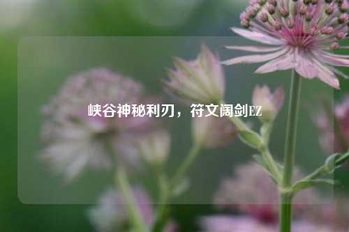 峡谷神秘利刃，符文阔剑EZ