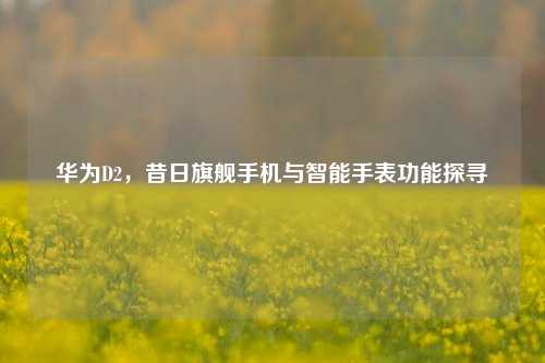 华为D2，昔日旗舰手机与智能手表功能探寻
