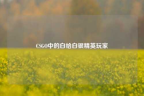 CSGO中的白给白银精英玩家