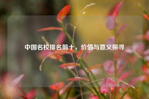 中国名校排名前十，价值与意义探寻