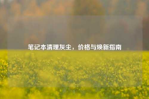 笔记本清理灰尘,价格与焕新指南