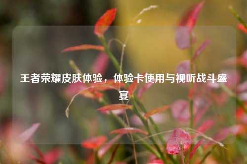 王者荣耀皮肤体验，体验卡使用与视听战斗盛宴