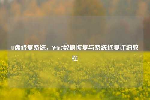 U盘修复系统,Win7数据恢复与系统修复详细教程