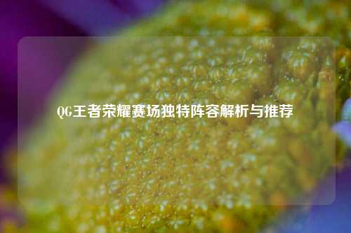 QG王者荣耀赛场独特阵容解析与推荐