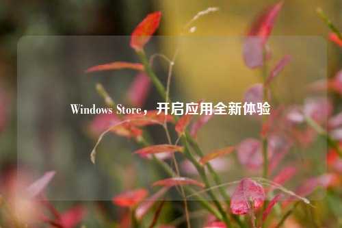 Windows Store,开启应用全新体验