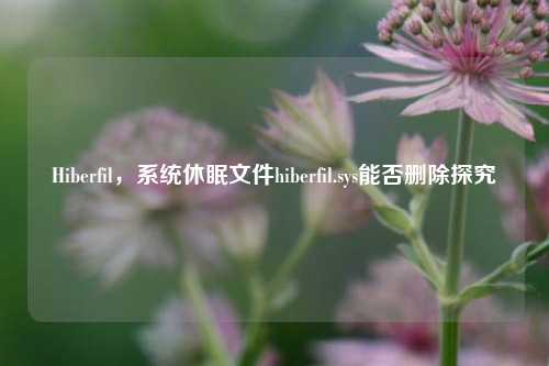 Hiberfil,系统休眠文件hiberfil.sys能否删除探究