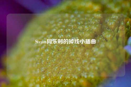 Steam同乐时的掉线小插曲