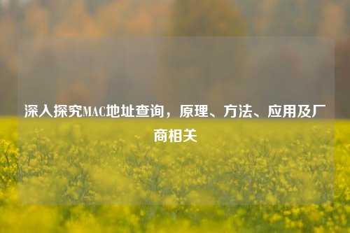 深入探究MAC地址查询,原理、方法、应用及厂商相关