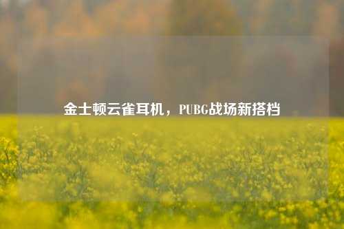 金士顿云雀耳机，PUBG战场新搭档