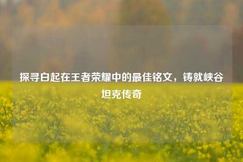 探寻白起在王者荣耀中的最佳铭文，铸就峡谷坦克传奇