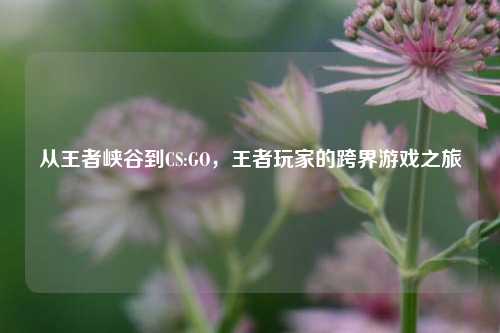 从王者峡谷到CS:GO，王者玩家的跨界游戏之旅