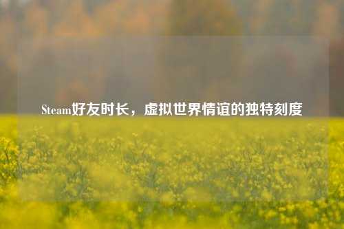 Steam好友时长,虚拟世界情谊的独特刻度
