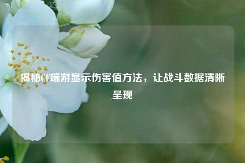 揭秘CF端游显示伤害值方法，让战斗数据清晰呈现