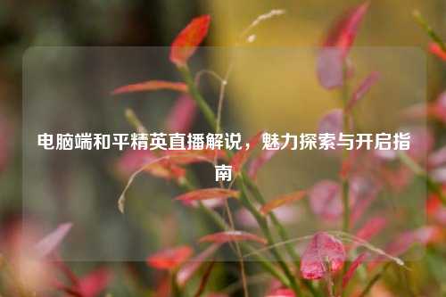 电脑端和平精英直播解说，魅力探索与开启指南