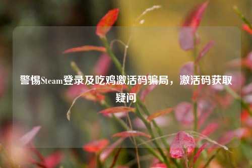 警惕Steam登录及吃鸡激活码骗局,激活码获取疑问