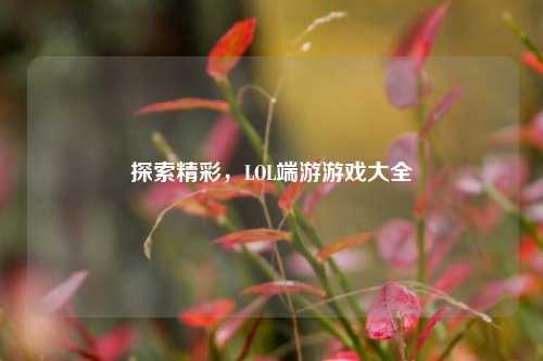 探索精彩,LOL端游游戏大全