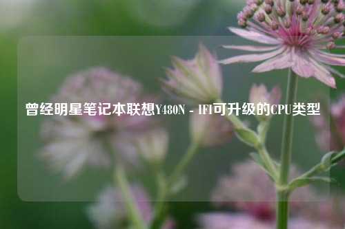 曾经明星笔记本联想Y480N - IFI可升级的CPU类型