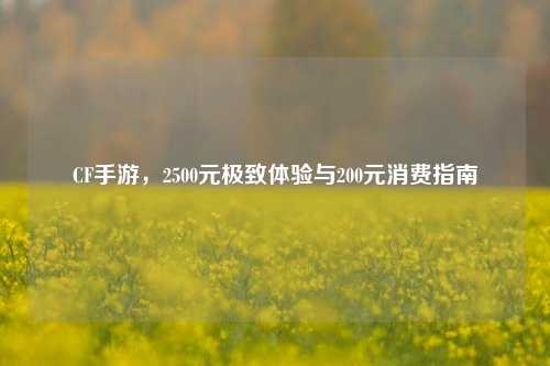 CF手游,2500元极致体验与200元消费指南