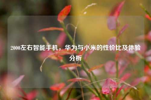 2000左右智能手机,华为与小米的性价比及体验分析