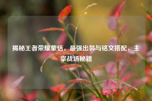 揭秘王者荣耀蒙恬,最强出装与铭文搭配,主宰战场秘籍