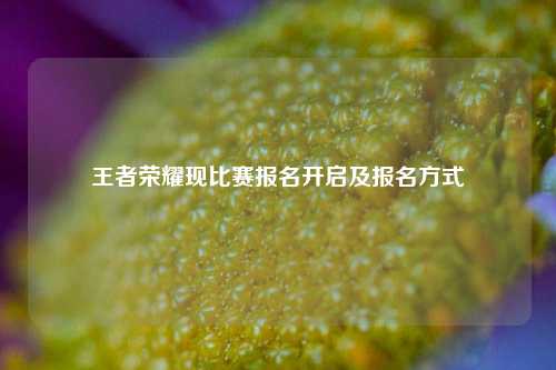 王者荣耀现比赛报名开启及报名方式