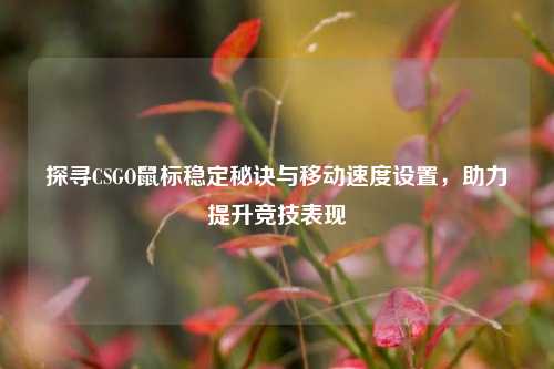 探寻CSGO鼠标稳定秘诀与移动速度设置，助力提升竞技表现