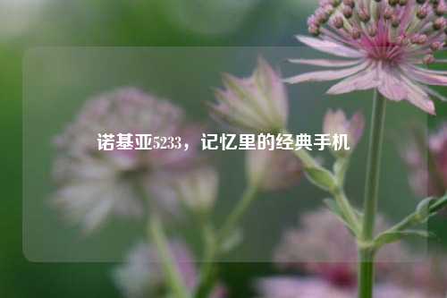 诺基亚5233，记忆里的经典手机