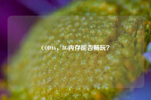 COD16，8G内存能否畅玩？