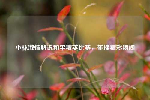 小林激情解说和平精英比赛，碰撞精彩瞬间