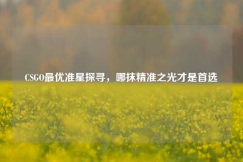 CSGO最优准星探寻，哪抹精准之光才是首选