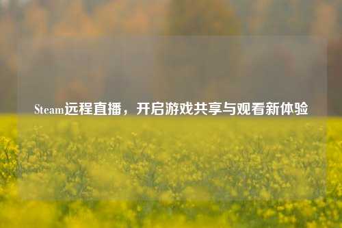 Steam远程直播,开启游戏共享与观看新体验