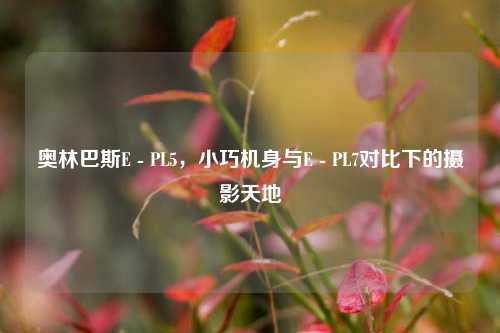 奥林巴斯E - PL5，小巧机身与E - PL7对比下的摄影天地