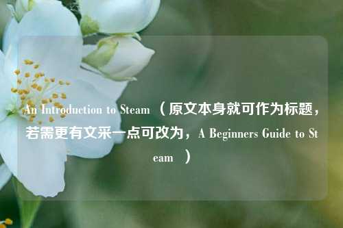 An Introduction to Steam (原文本身就可作为标题,若需更有文采一点可改为,A Beginners Guide to Steam )