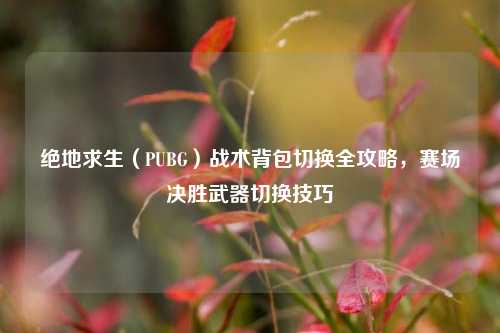 绝地求生（PUBG）战术背包切换全攻略，赛场决胜武器切换技巧