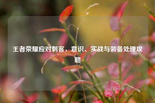 王者荣耀应对刺客，意识、实战与装备处理攻略