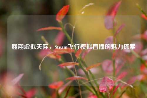 翱翔虚拟天际,Steam飞行模拟直播的魅力探索