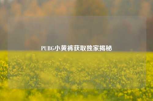 PUBG小黄裤获取独家揭秘