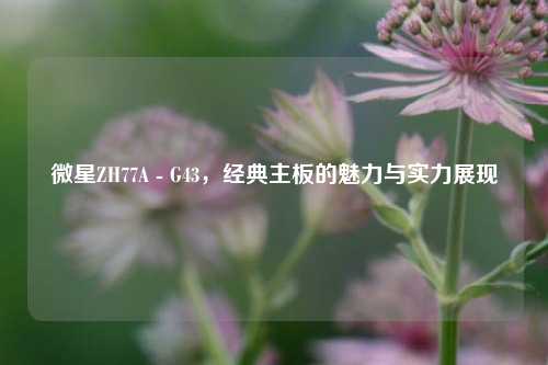 微星ZH77A - G43，经典主板的魅力与实力展现