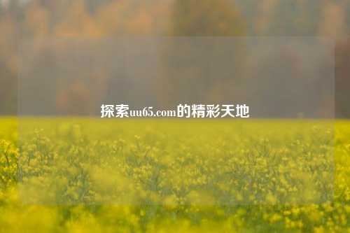 探索uu65.com的精彩天地