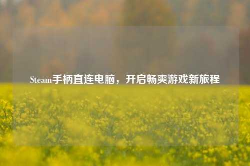 Steam手柄直连电脑，开启畅爽游戏新旅程
